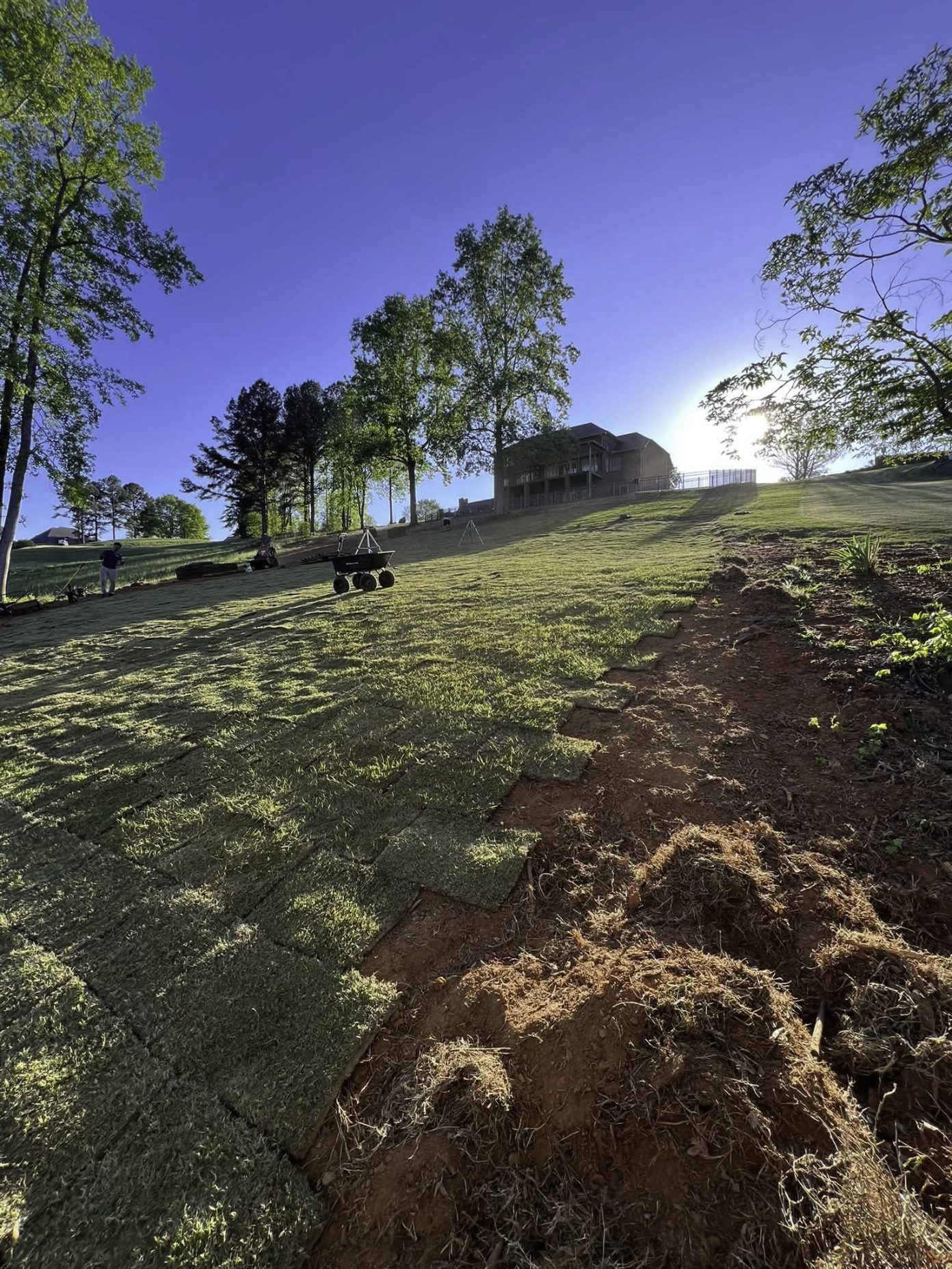 Fresh sod being laid on a graded slope at sunrise
